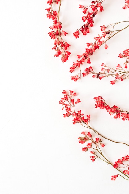 Red wildflowers on white surface