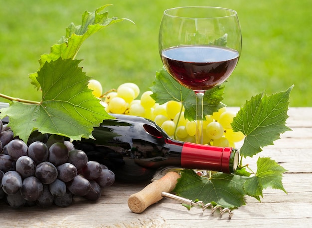 Red wine glass and bottle with bunch of grapes