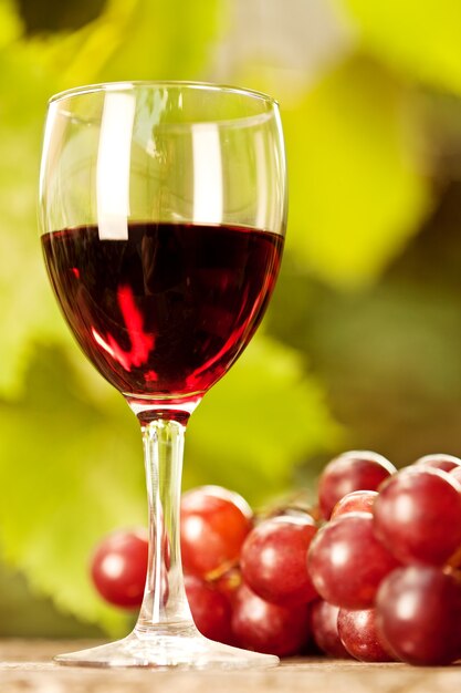 Red wine glass and bunch of grapes against vineyard in summer