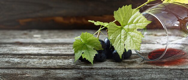 Red wine and grapes. Wine and grapes in a vintage setting with corks on a wooden table.  Banner. Copy space of your text.