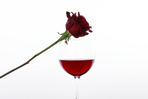 Red wine and red rose in front of a white wall