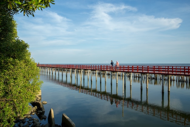 Red Wooden boardwalk through forest