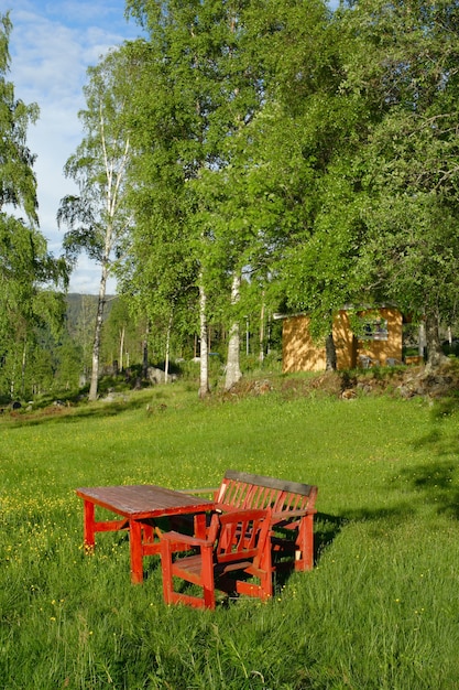 Foto tavolo e sedie in legno rosso in piedi su una radura della foresta