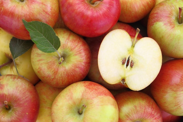 Red yellow apples closeup