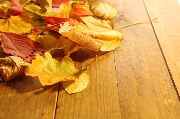 Red and yellow autumn leaves on wooden table closeup