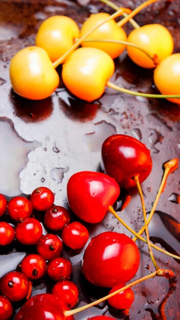 Red and yellow cherries in water drops Fresh cherries on dark background Washed cherries