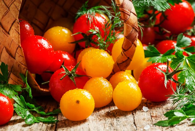 Red and yellow cherry tomatoes spill out of a wicker basket vintage wooden background country style selective focus