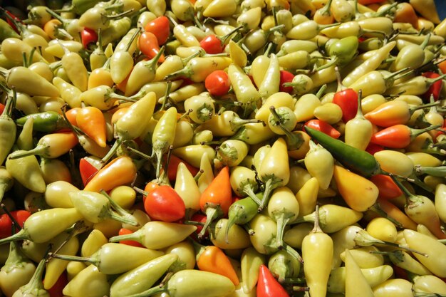 Red and yellow chillis