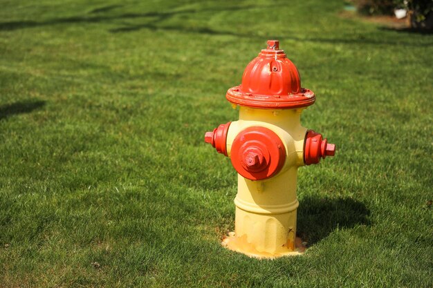 A red and yellow fire hydrant in the grass