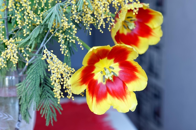 赤と黄色の花の隣に赤と黄色の花があります。