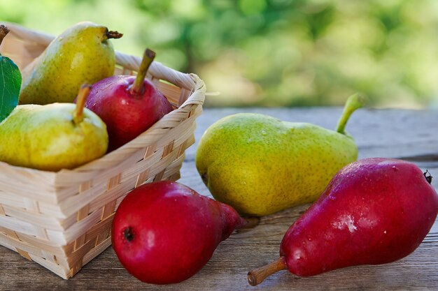 Red and yellow pears in a basket on a wooden table close-up