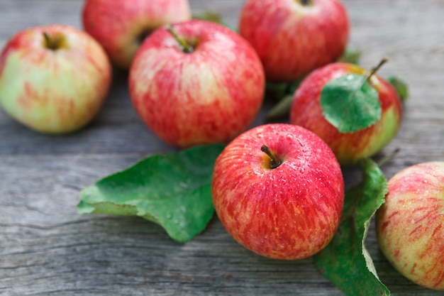 Red and yellow ripe autumn apples