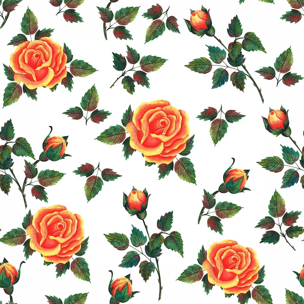 Red and yellow roses Watercolor clip art