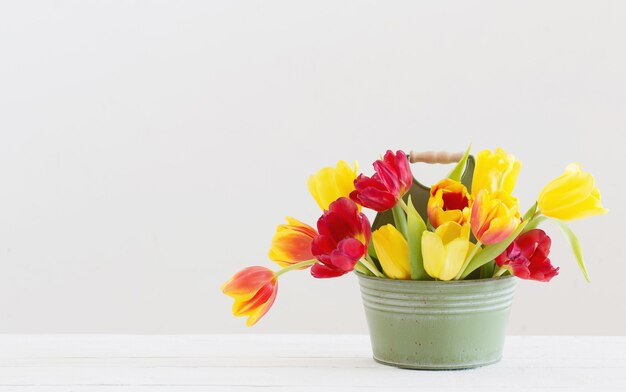 Red and yellow tulips in bucket on white background