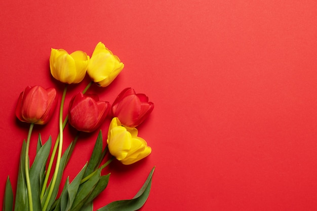 Red and yellow tulips on red  with space for text