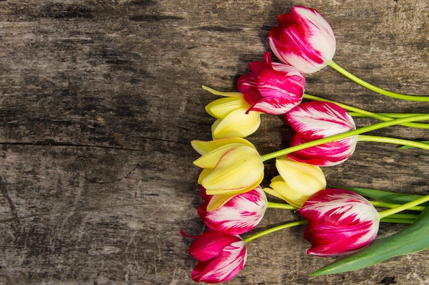 Red and yellow tulips on rustic wooden background with copy space