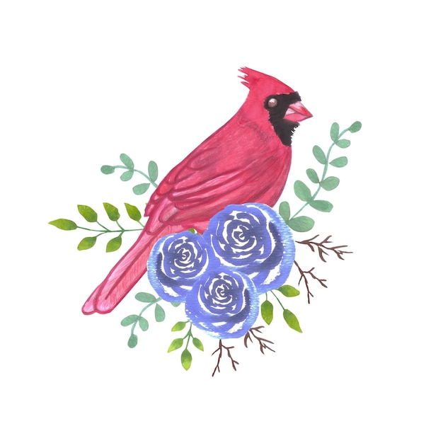 赤鳥または雄の枢機卿は,多年生のバラの花に水彩画を描いています.