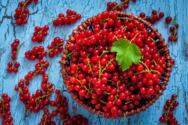 Redcurrant in rieten kom op tafel