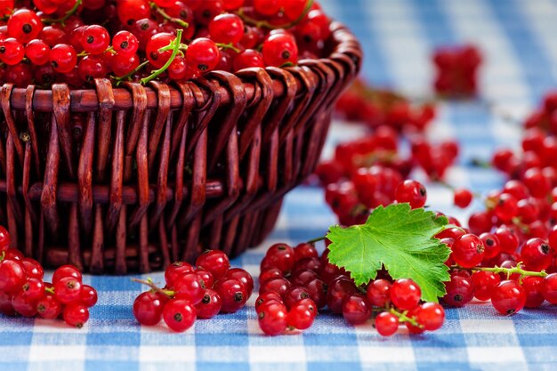 Redcurrant in wicker bowl on the table