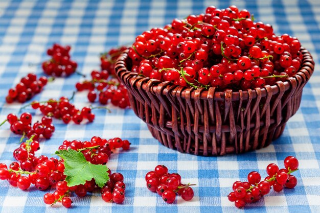 Redcurrant in wicker bowl on the table