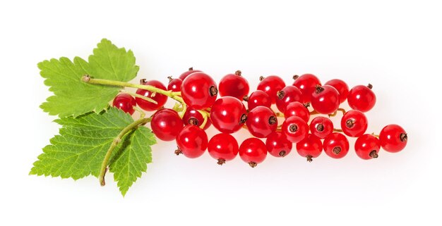 Redcurrant with green leaves isolated on white background