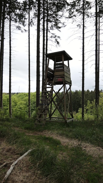 Foto reddingshut op het veld in het bos