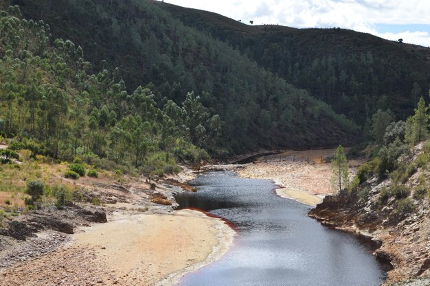 Photo reddish river with polluted water