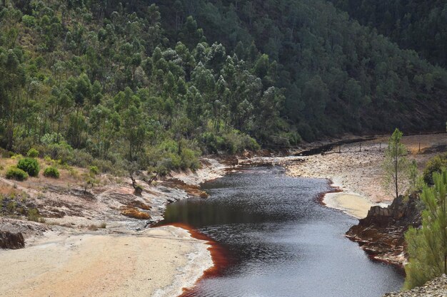 reddish river with polluted water