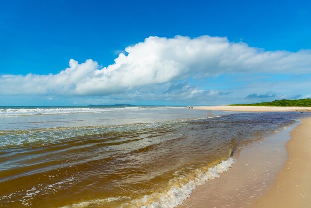 Reddish water of a river against the blue sky guaibim beach coast of the sea of bahia brazil