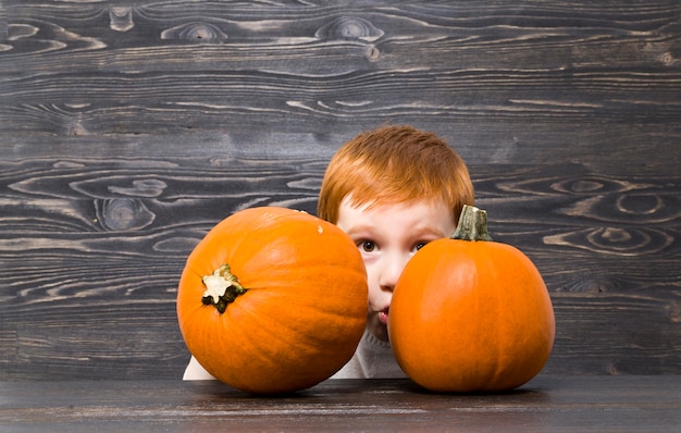 Redhaired boy hid behind orange pumpkins