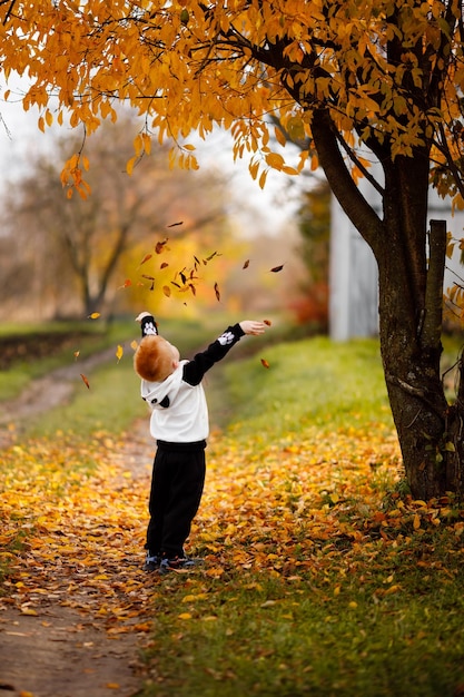 A redhaired boy throws up many yellow leaves that fell from a tree in October