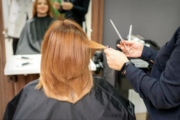 Redhaired woman sitting a front of the mirror and receiving haircut her red long hair by a female hairdresser in a hair salon back view