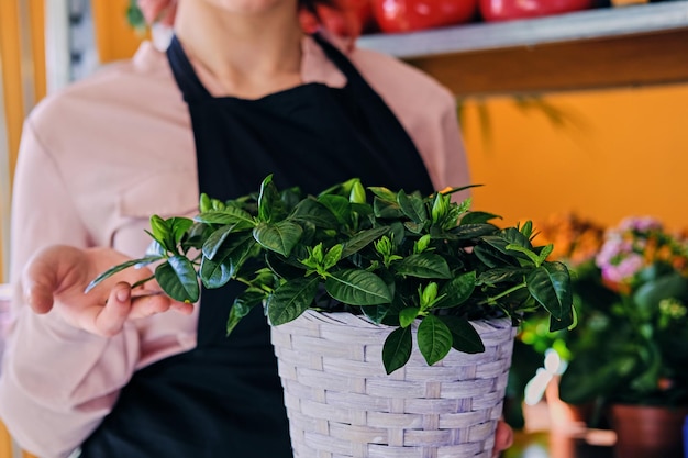 Redhead female holds flower in a pod in a market shop.