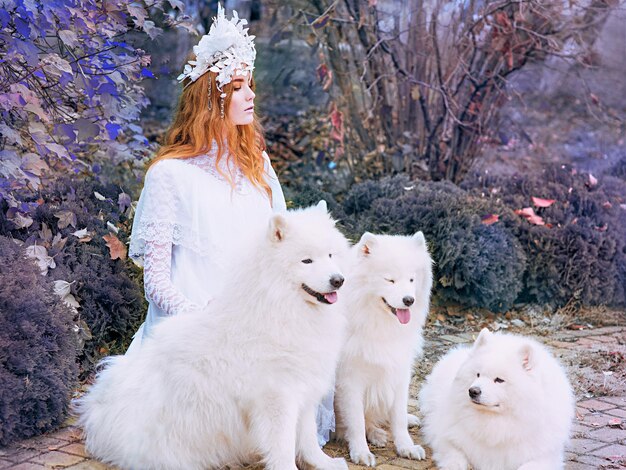 redhead (ginger) beautiful young girl (snow princess) in long white dress with three samoyeds outdoo