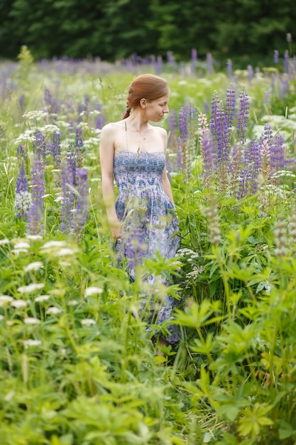 写真 開花ルピナスの赤毛の女の子