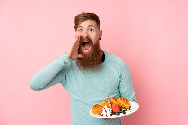 Redhead man with long beard holding waffles over isolated pink wall shouting with mouth wide open