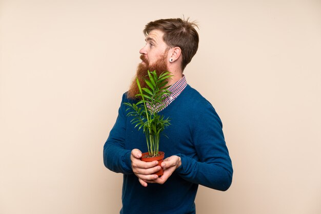 Redhead man with long beard taking a flowerpot