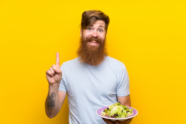 redhead man with long beard and with salad over  yellow wall pointing up a great idea