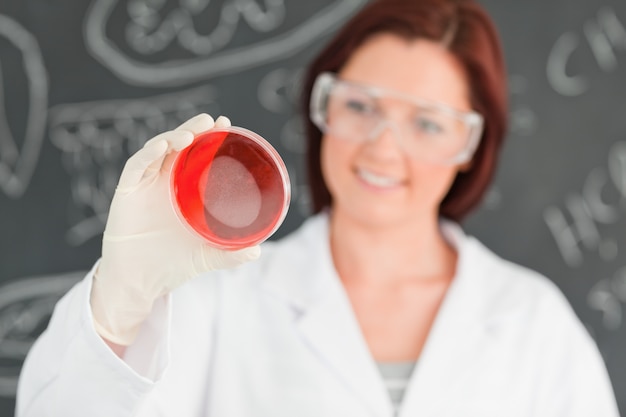 Redhead scientist holding a petri dish with the camera focused on the object