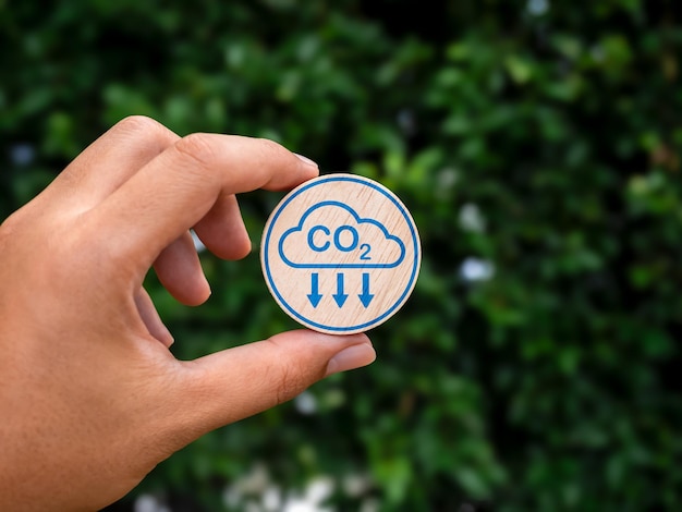 Riduzione delle emissioni di co2 per limitare i cambiamenti climatici e il riscaldamento globale concetto di riduzione netta zero di anidride carbonica segno iconico di co2 su blocco di legno rotondo in mano umana tenendo su foglie verdi sullo sfondo