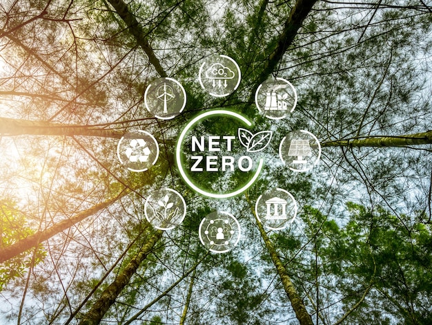 写真 炭素二酸化炭素の排出量を削減するためのコンセプト - 高木の森林の背景に再生可能エネルギーシンボルで囲まれたnetzeroアイコン