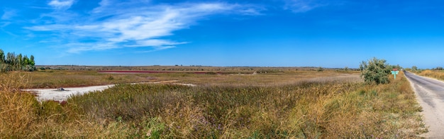 Foto estuario coperto di canneti vicino al villaggio di koblevo in ucraina