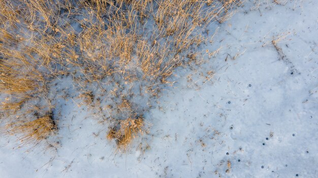 凍った湖の俯瞰図で葦が凍った