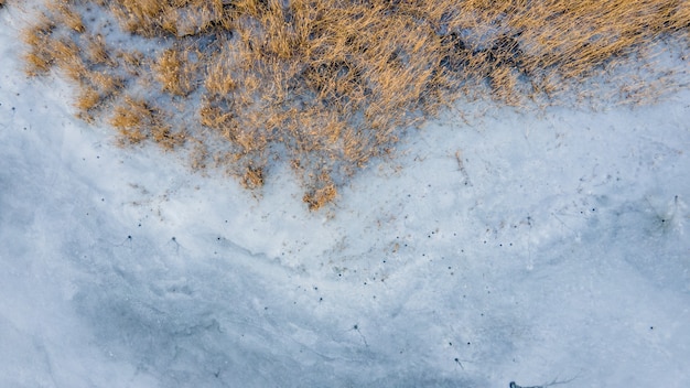 Reed froze in a frozen lake overhead view