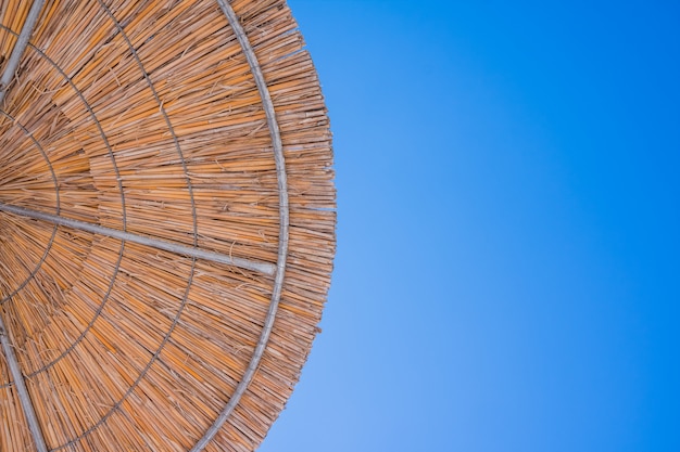 Reed Sunshade from beneath against blue sky