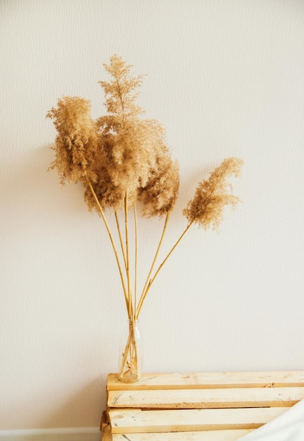 A reed in a vase on a white backgroundFluffy pampas grass Background of reed panicles Interior decoration