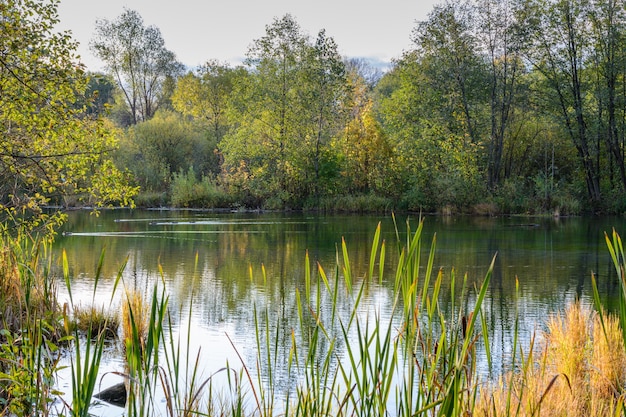 The reeds, grass, trees and turquoise water of a healing lake. Autumn landscape. Early autumn morning on the Blue Lake in Kazan. Russia.