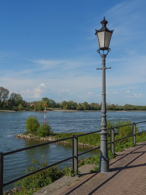 Photo rees at the river rhine