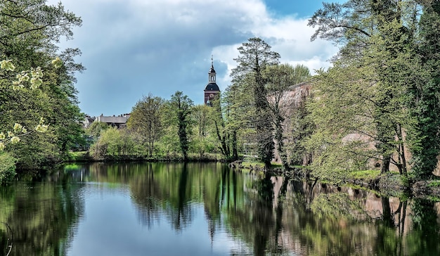 Reflectie van bomen in de rivier