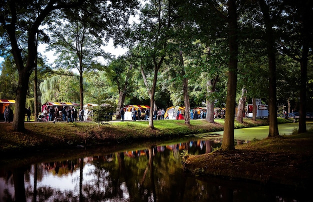 Foto reflectie van bomen in het meer in het park